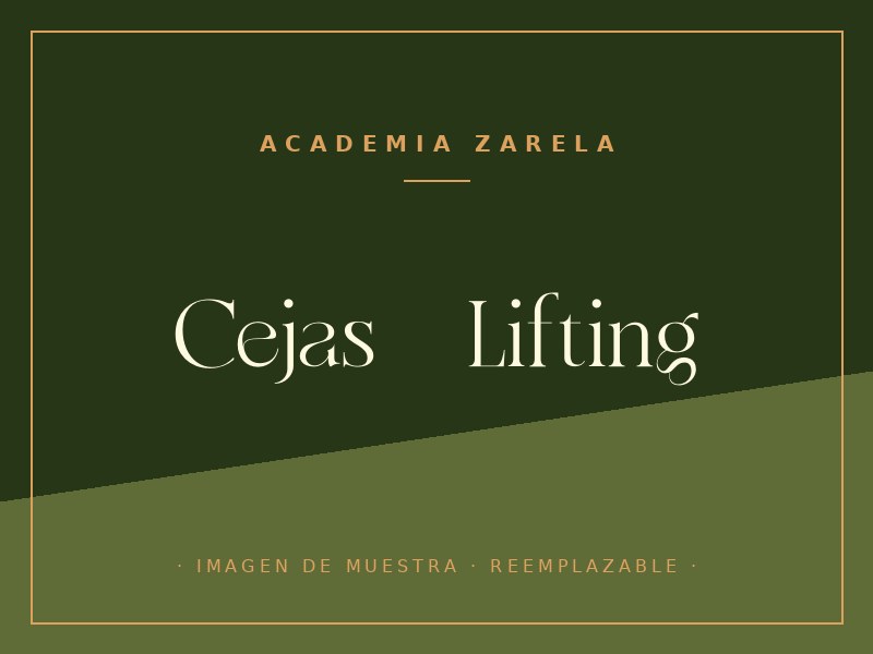 Taller de Cejas + Lifting de Pestañas